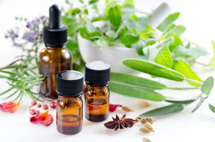 Explore the Rich History of Essential Oils